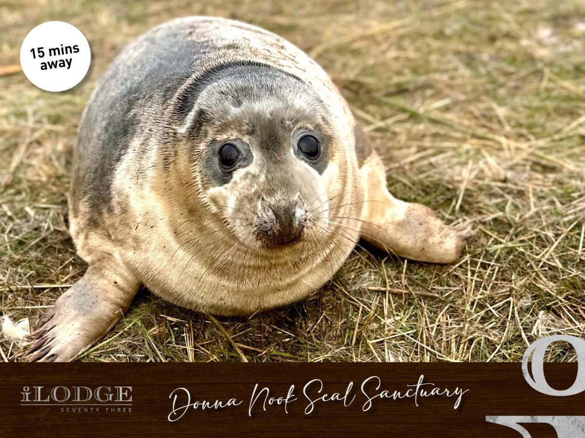 Ilodge 73 Louth  Bagian luar foto